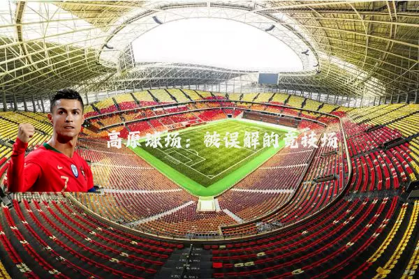 高原球场：被误解的竞技场